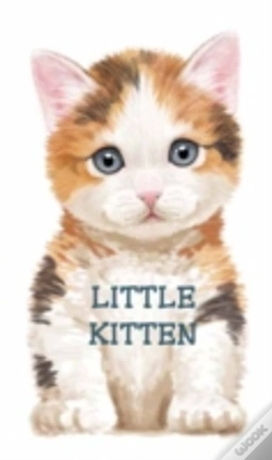 Capa do artigo Little Kitten