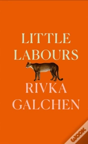 Capa do artigo Little Labours