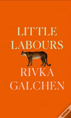 Capa do artigo Little Labours