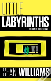 Capa do artigo Little Labyrinths