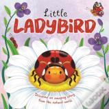 Little Ladybird