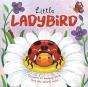 Little Ladybird - Preview