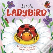Capa do artigo Little Ladybird