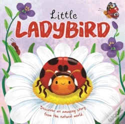 Capa do artigo Little Ladybird