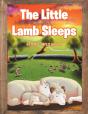 Little Lamb Sleeps - Preview