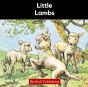 Little Lambs - Preview