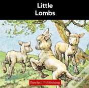Capa do artigo Little Lambs