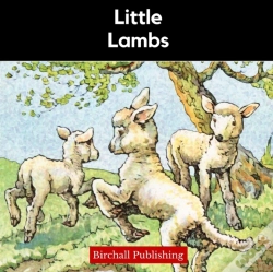 Capa do artigo Little Lambs