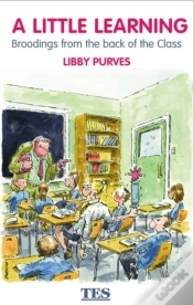 Capa do artigo Little Learning
