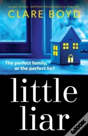 Capa do artigo Little Liar