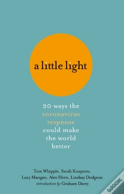 Capa do artigo Little Light
