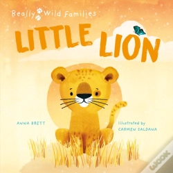 Capa do artigo Little Lion