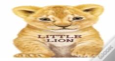 Little Lion