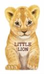 Little Lion - Preview