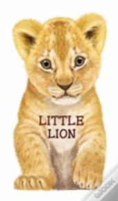 Little Lion