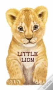 Capa do artigo Little Lion