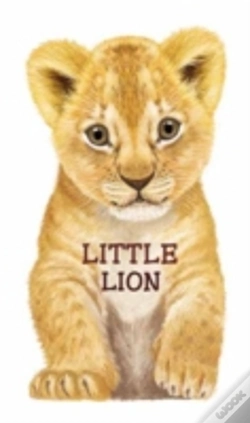 Capa do artigo Little Lion