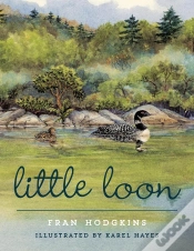 Capa do artigo Little Loon
