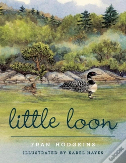 Capa do artigo Little Loon