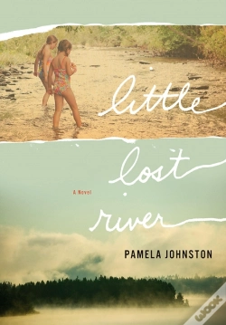 Capa do artigo Little Lost River