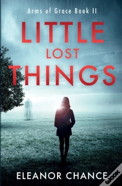 Capa do artigo Little Lost Things