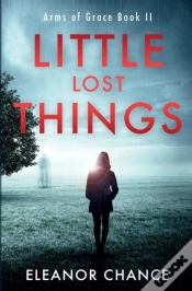 Capa do artigo Little Lost Things