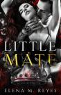 Little Mate - Preview