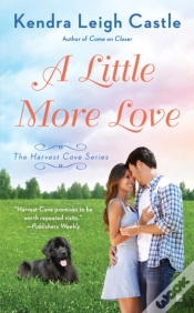Capa do artigo Little More Love
