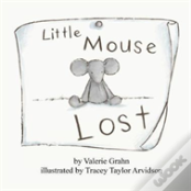 Little Mouse Lost