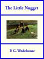 Little Nugget - Preview