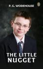Little Nugget - Preview