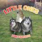 Little Ones - Preview