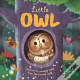 Little Owl