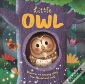 Capa do artigo Little Owl