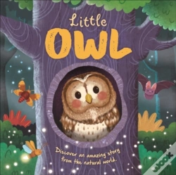 Capa do artigo Little Owl