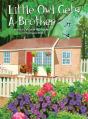 Little Owl Gets A Brother - Preview