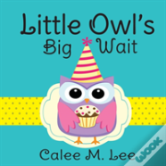 Little Owl'S Big Wait