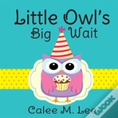Little Owl'S Big Wait