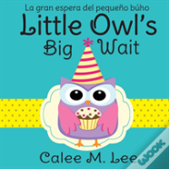 Little Owl'S Big Wait / La Gran Espera Del Pequeno Buho