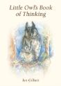 Little Owl'S Book Of Thinking - Preview