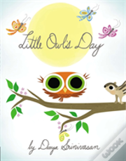 Little Owl'S Day