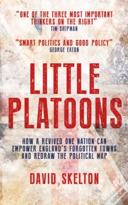 Capa do artigo Little Platoons