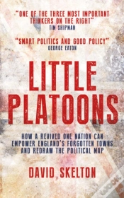 Capa do artigo Little Platoons