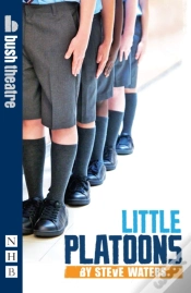 Capa do artigo Little Platoons