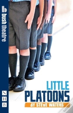 Capa do artigo Little Platoons