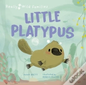 Capa do artigo Little Platypus