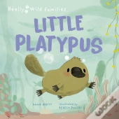 Little Platypus