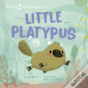 Capa do artigo Little Platypus