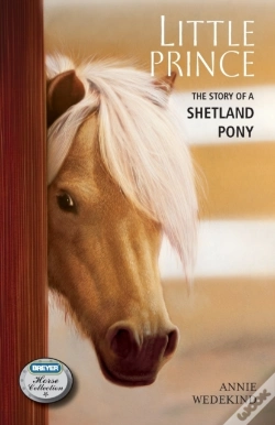 Capa do artigo Little Prince