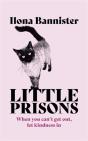 Little Prisons - Preview